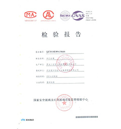 檢驗報告